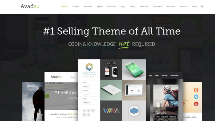 Top premium wordpress themes for newbie bloggers avada
