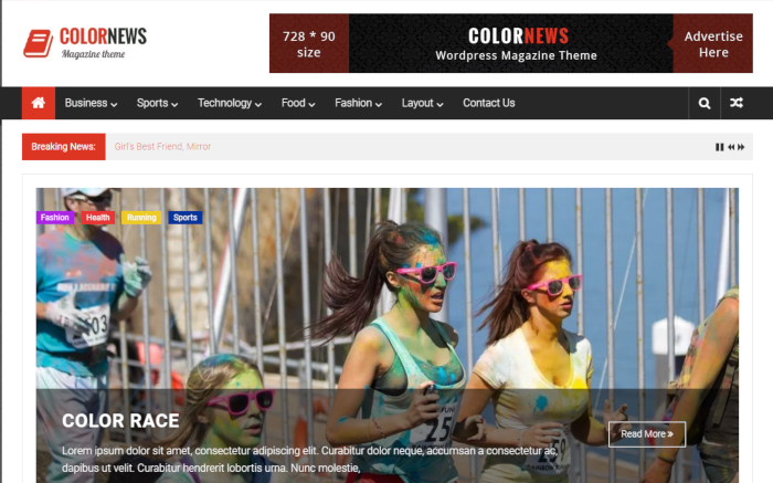 Top premium wordpress themes for newbie bloggers themegrill
